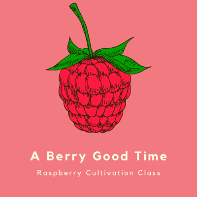 Cartoon raspberry with the words "A Berry Good Time" Raspberry Cultivation Class