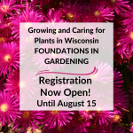 Growing and caring for plants in Wisconsin: Foundations in gardening. Registration now open until Aug 15