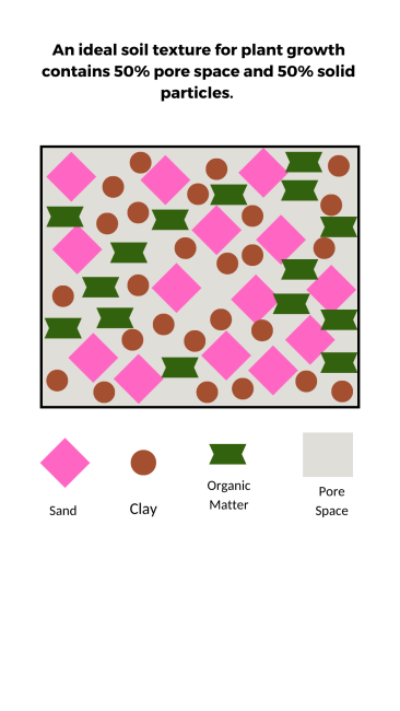 Text: An ideal soil texture for plant growth contains 50% pore space and 50% solid particles. Graphic shows sand, clay, organic matter particles and the pore spaces between the particles.