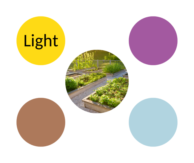 Five circles. Center circle is a garden. Top left circle has text that says "Light". Other three circles are blank.