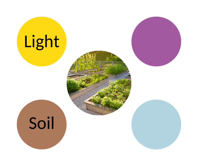 Five circles. Center circle is a garden. Top left circle has text that says "Light". Bottom left circle has text that says "Soil". Other two circles are blank.