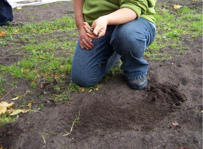 Person kneeling near sandy soil.